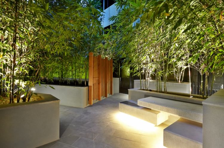 bambou-pot-terrasse-banc-ciment-carrelage-éclairage-led