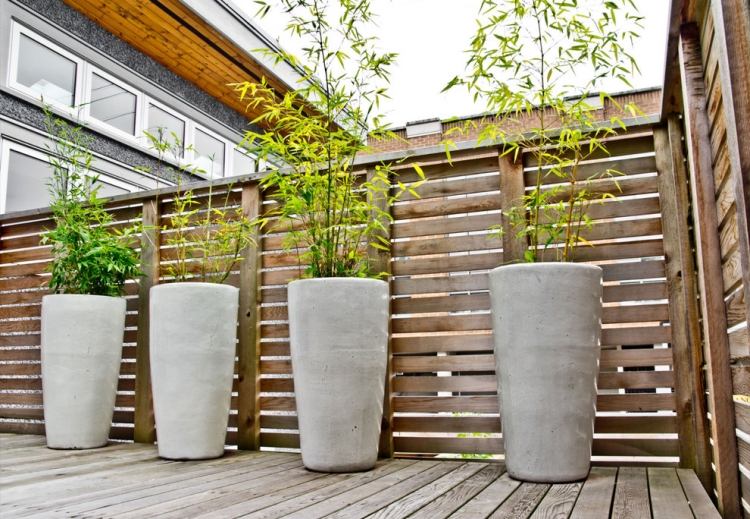 bambou-pot-terrasse-béton-cylindrique-brise-vue-bois bambou en pot