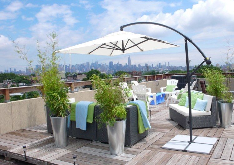 Bambou en pot – brise vue naturel et déco sur la terrasse
