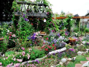 bordure-jardin-pierres-naturelles-allée-jardin-fleurs-pergola