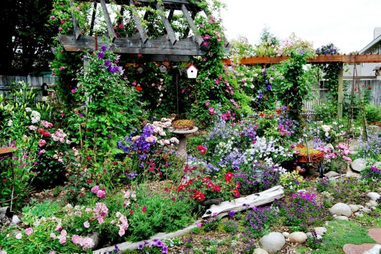 bordure-jardin-pierres-naturelles-allée-jardin-fleurs-pergola