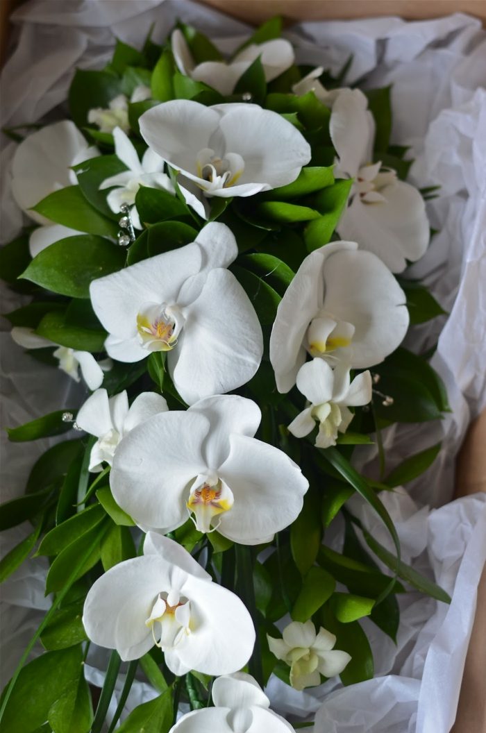 bouquet-mariée-cascade-orchidées-blanches-verdure