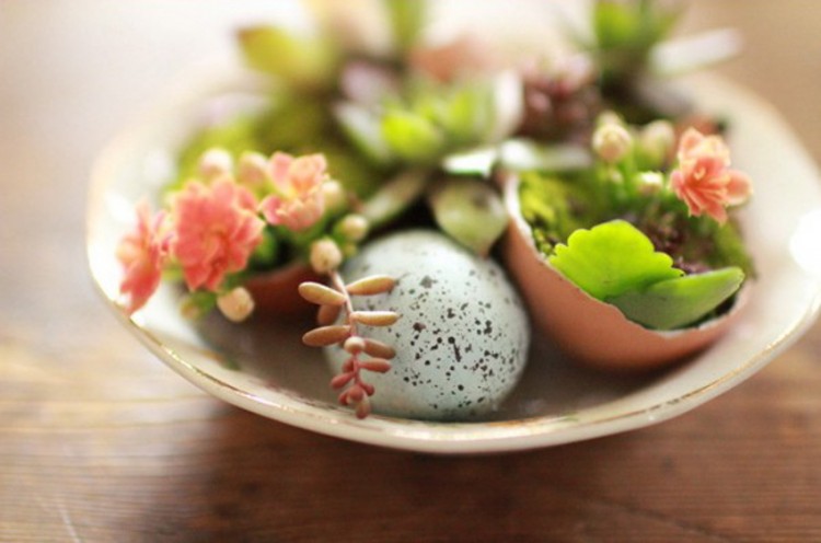 bricolage-decoration-printemps-coquilles-œufs-assiette-succulentes