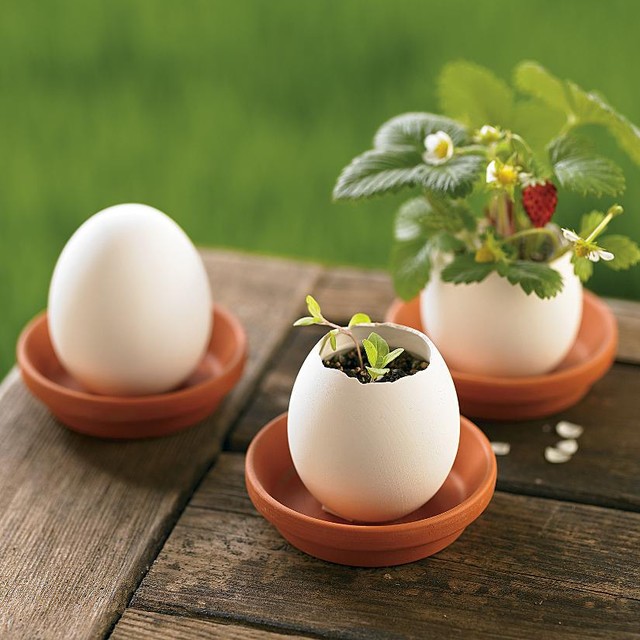 bricolage-decoration-printemps-coquilles-œufs-pots-fraises