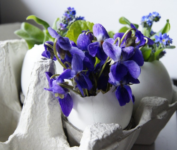 bricolage-decoration-printemps-coquilles-œufs-vases-violettes