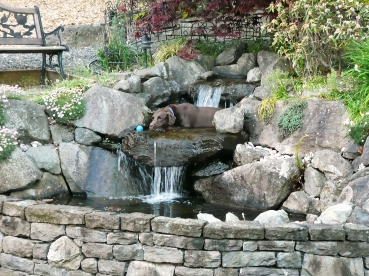 cascade-bassin-de-jardin-murette-pierre-rochers
