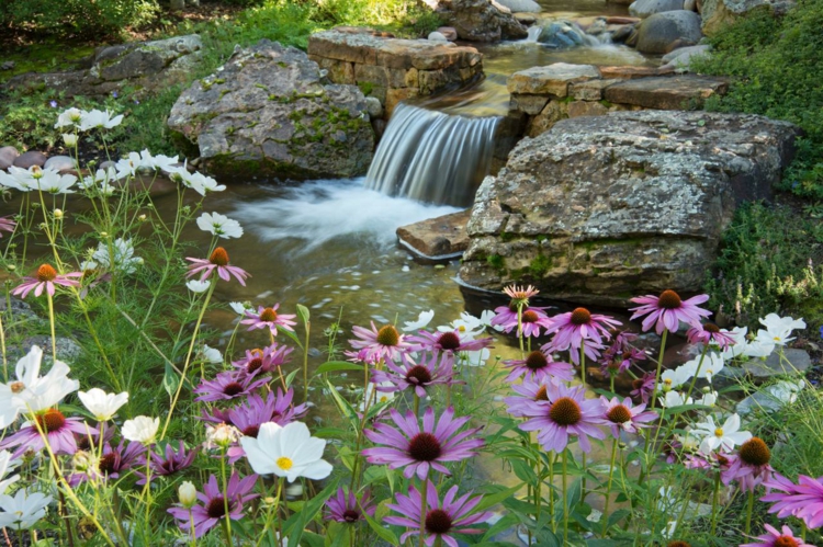 cascade-bassin-de-jardin-rochers-fleurs-deco-exterieure