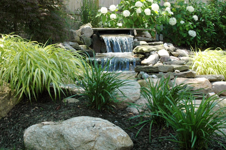 cascade bassin de jardin -roches-arbuste-fleuri-graminées-ornement