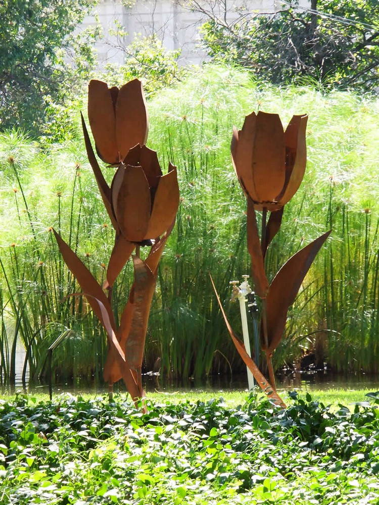 déco jardin -sculptures-tulipes-acier-corten