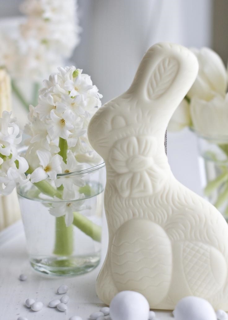 décoration maison Pâques 2015-lapin-blanc-jacinthe-blanche