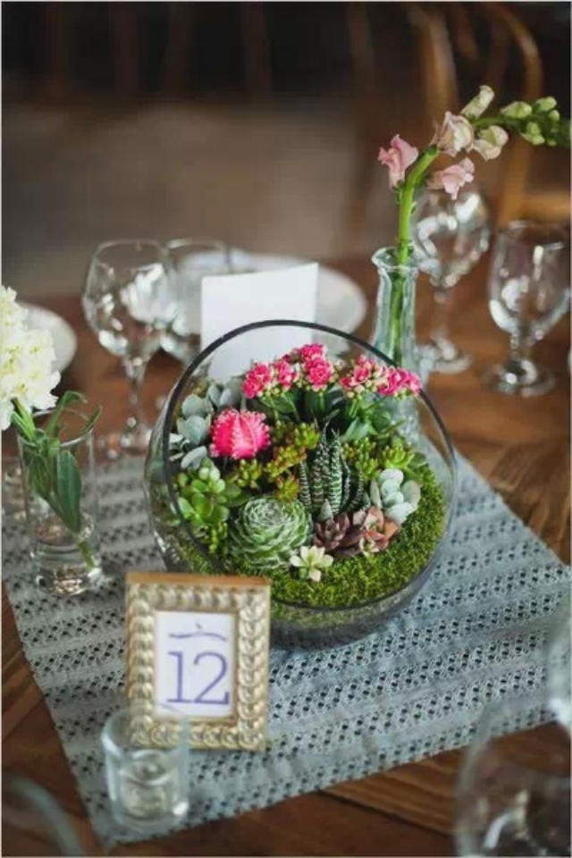 décoration-mariage-composition-plantes-succulentes-boule-verre