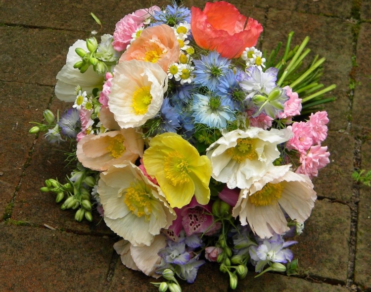 fleurs mariage idée originale bouquet-coquelicots-couleurs
