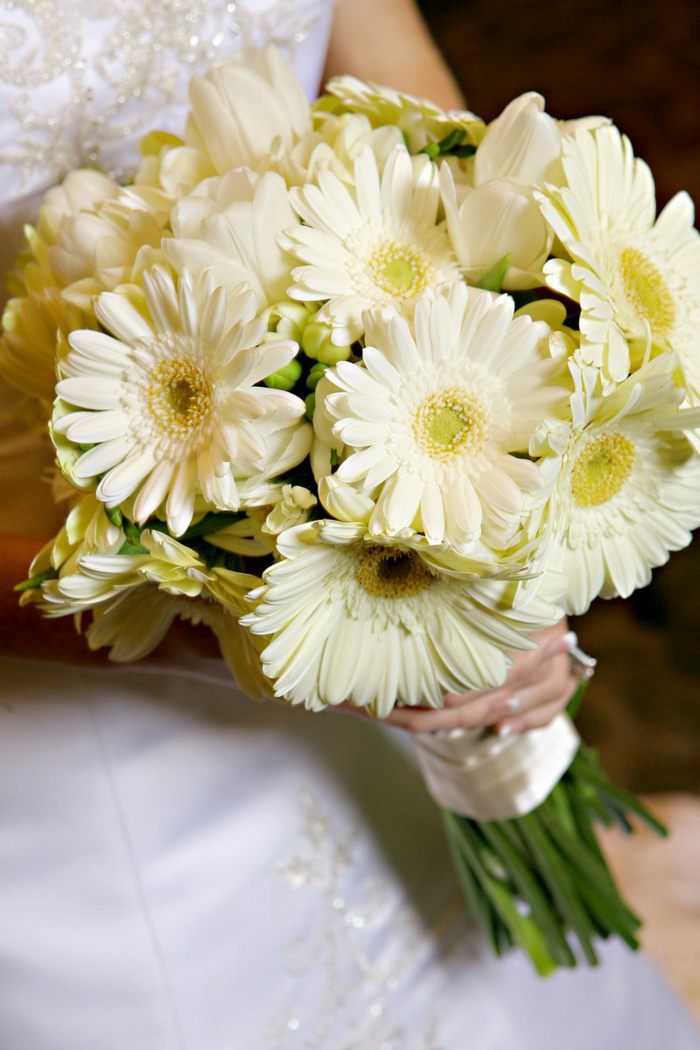 fleurs mariage printemps tulipes gerbéras-blanc-cassé