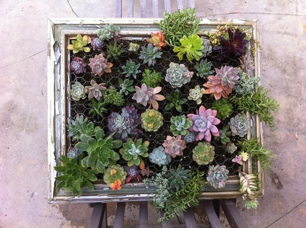 mur-vegetal-maison-deco-exterieure-plantes-succulentes-idees
