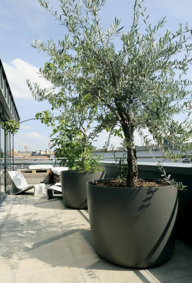 olivier-pot-aménagement-toit-terrasse-moderne