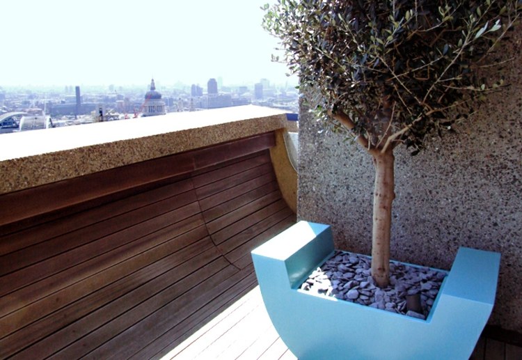 olivier en pot design-moderne-décoré-gravier-balcon