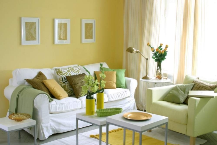 peinture-murale-couleur-jaune-coussins-deco-salon-ensemble-canape