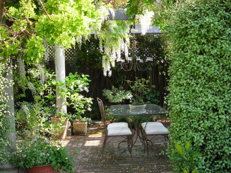 petit jardin coin repos meubles-fer-forgé-acacias-blancs