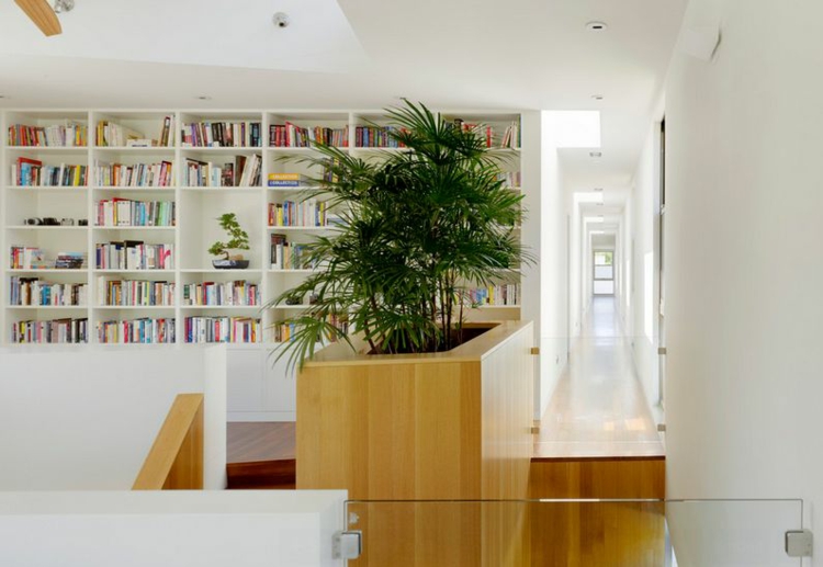 plantes-intérieur-lady-palm-jardinière-bois-grande-bibliothèque