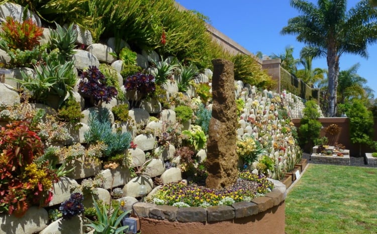 plantes-succulentes-mur-végétal-succulentes-jardin