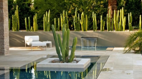 terrasse et jardin minimaliste-cactus-bassin-luxe