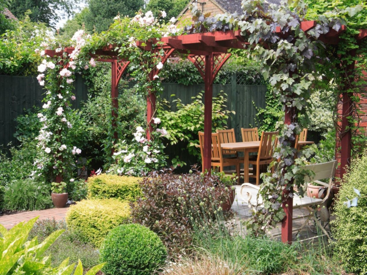 terrasse-jardin-pergola-bois-plantes-grimpantes1 terrasse et jardin