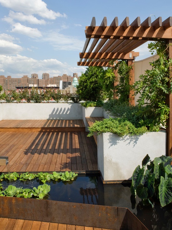 toit-terrasse-bois-pergola-jardin-aquatique-métal
