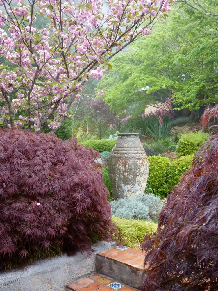 érable-Japon-Crimson-Queen-aménagement-jardin-japonais