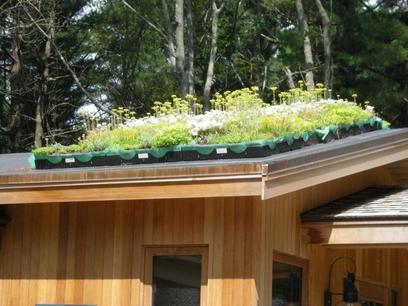 amenagement toit terrasse herbes
