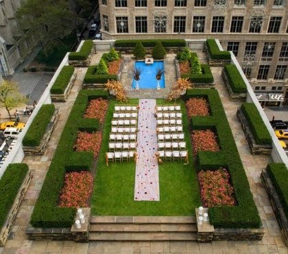 amenagement-toit-terrasse-idee--buis-plantes-exterieures