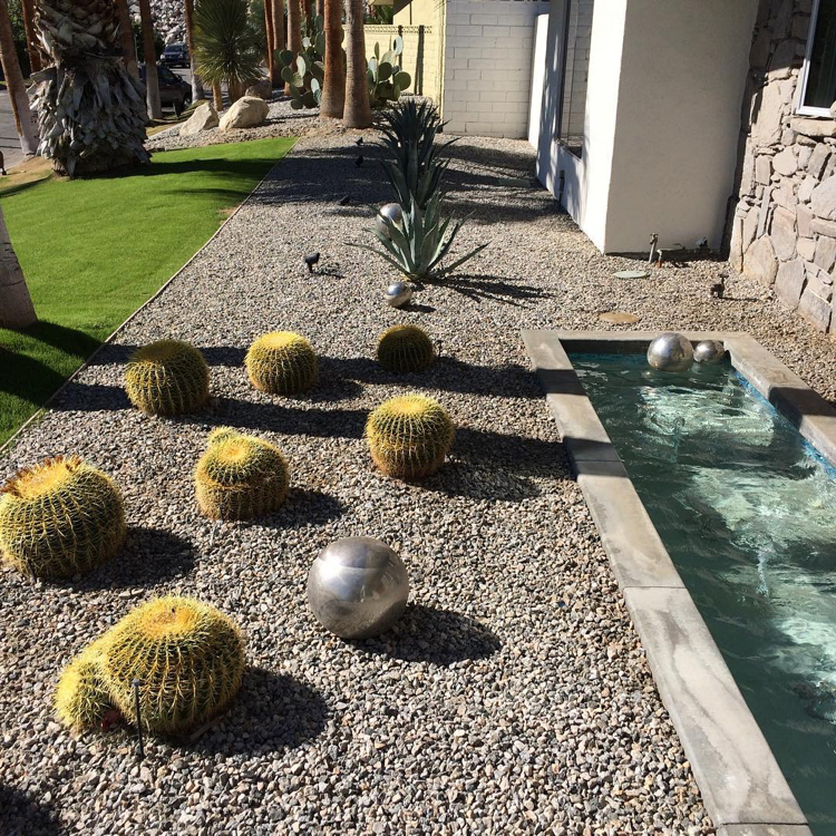 aménagement jardin sec-cactus-fontaine