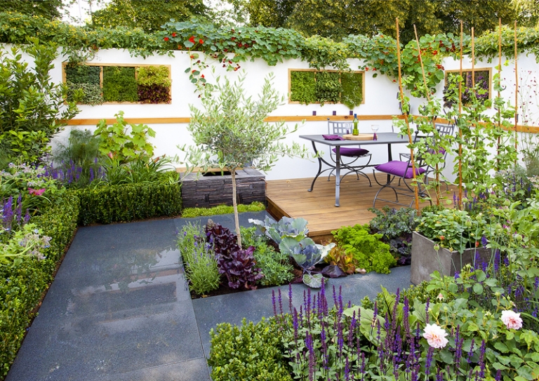 aménagement-petit-jardin-patio-moderne-coin-repas-buis-bordure