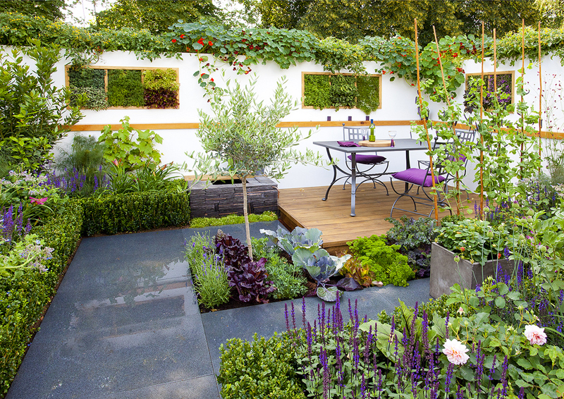 aménagement-petit-jardin-patio-moderne-coin-repas-buis-bordure