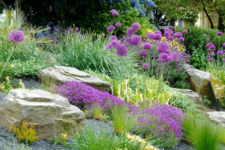 aménagement-jardin-rocaille-plantes-résistantes-sécheresse