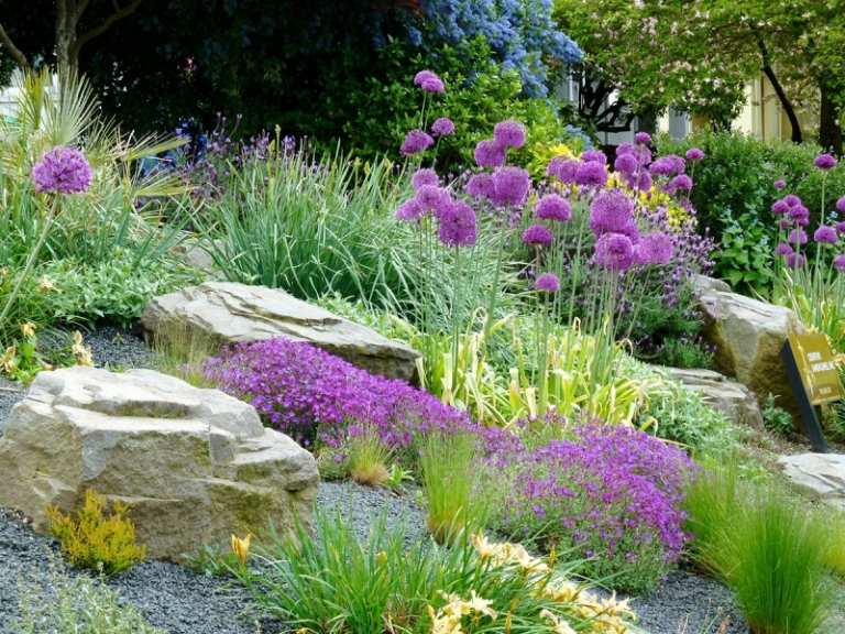 aménagement-jardin-rocaille-plantes-résistantes-sécheresse