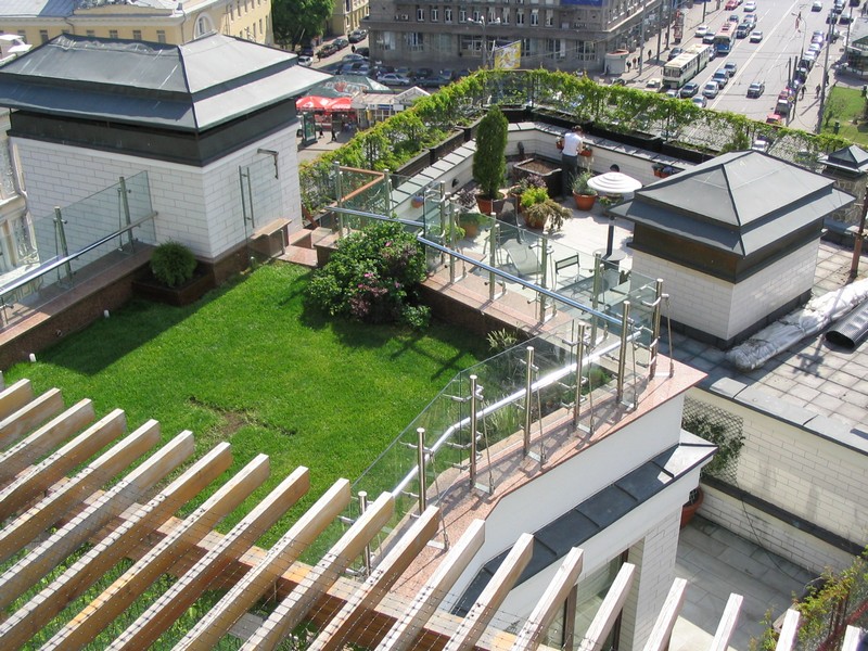 aménagement petit jardin terrasse-plantes-balustrade-verre-transparent
