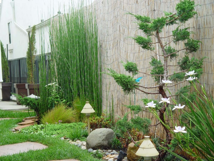 aménager-jardin-terrasse-brise-vue-bambou-bonsai-zen aménager son jardin