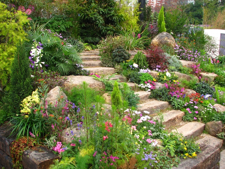 aménager-jardin-terrasse-végétation-abondante-fleurs-marches-pierre