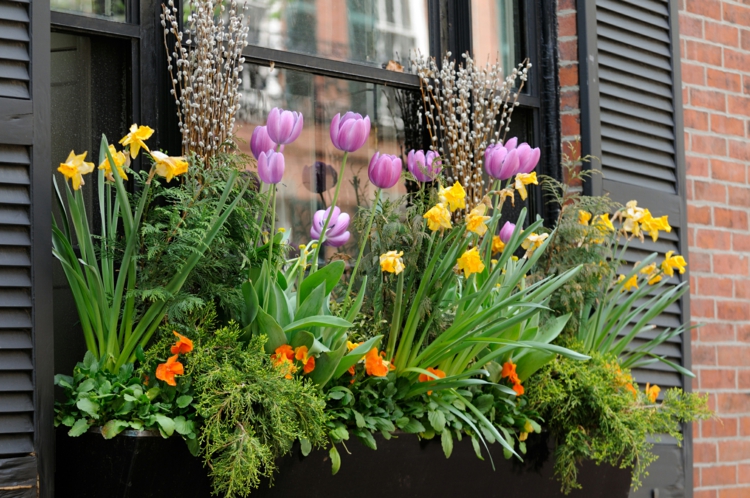 bac à fleurs rebord-fenetre-tulipes-violets-jonquille-chatons-saule
