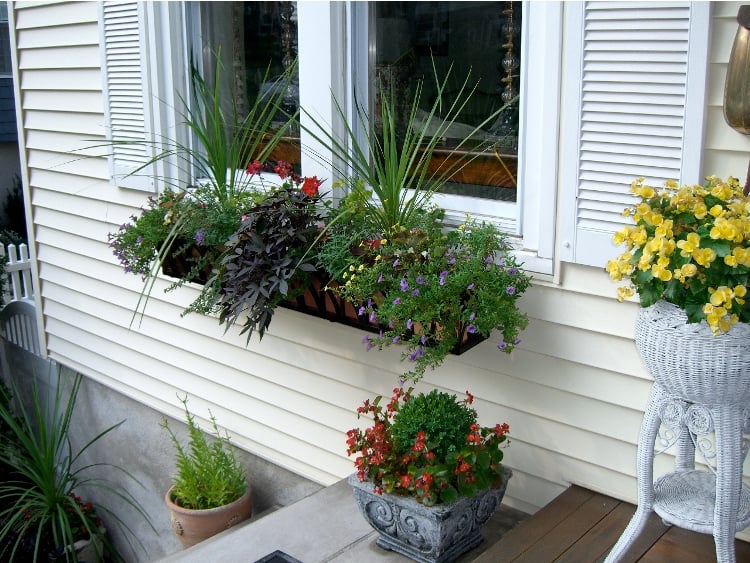 bac-fleurs-graminées-ornement-pots-fleurs-vivifier-espace-outdoor