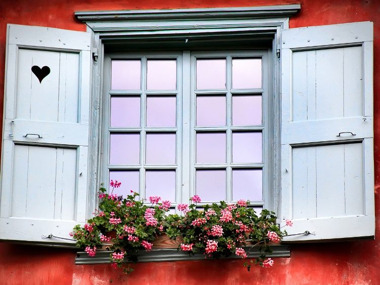 Bac à fleurs sur le rebord de la fenêtre: 50 idées fascinantes!