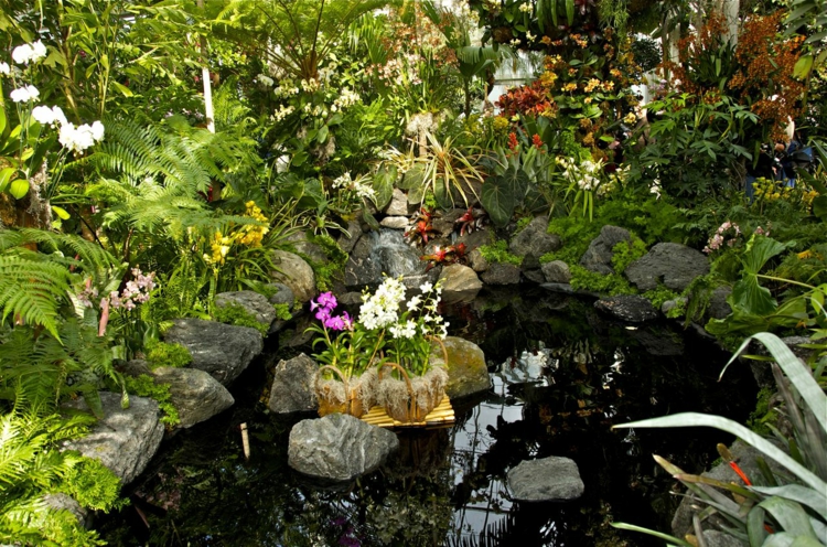 bassin-aquatique-jardin-entouré-orchidées-fougères