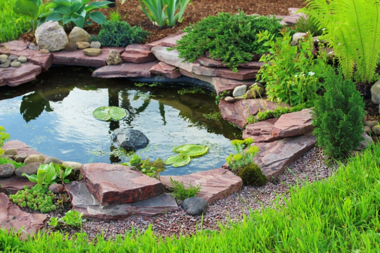 petit bassin d'eau avec poissons rouges  Fuentes para jardin, Estanques de  jardín, Jardines