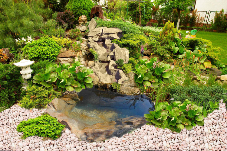 bassin de jardin -galets-roches-fleurs-arbustes-conifères