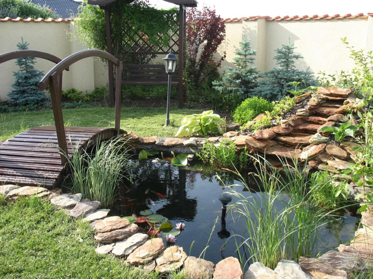 bassin de jardin -poissons-plantes-aquatiques-pont-bois