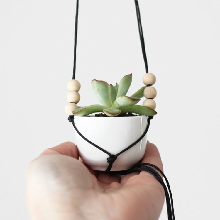 cache-pot-suspendu-céramique-plante-succulente