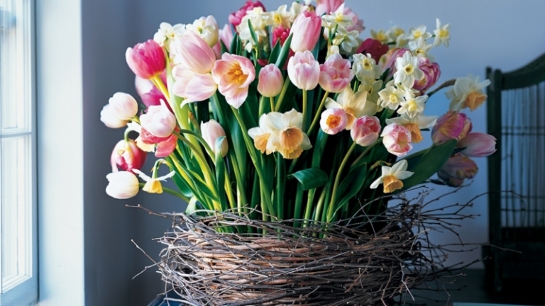 composition florale printanière plantes bulbeuses tulipes jonquilles