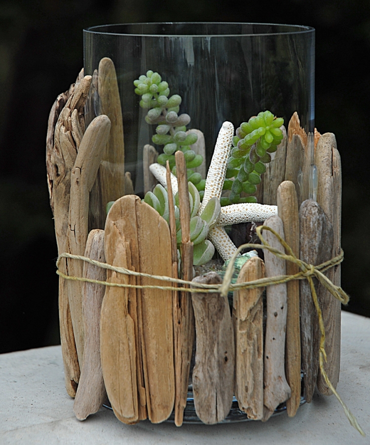 décoration bois flotté terrarium miniature-vase
