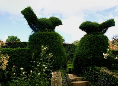 décoration-jardin-moineaux-buis-sculpture-vegetale