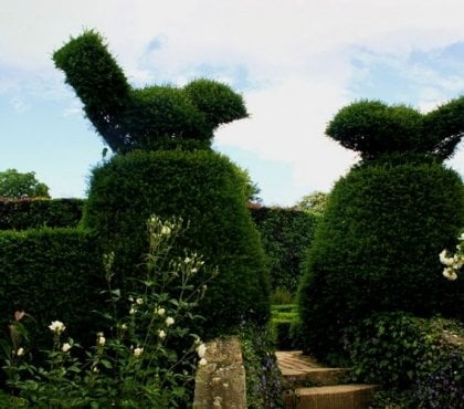 décoration-jardin-moineaux-buis-sculpture-vegetale